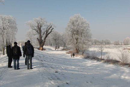 Winterwanderung an der Elbe