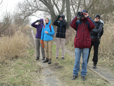 Foto Oderwanderung