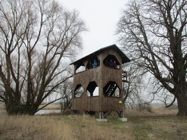 Foto Oderwanderung