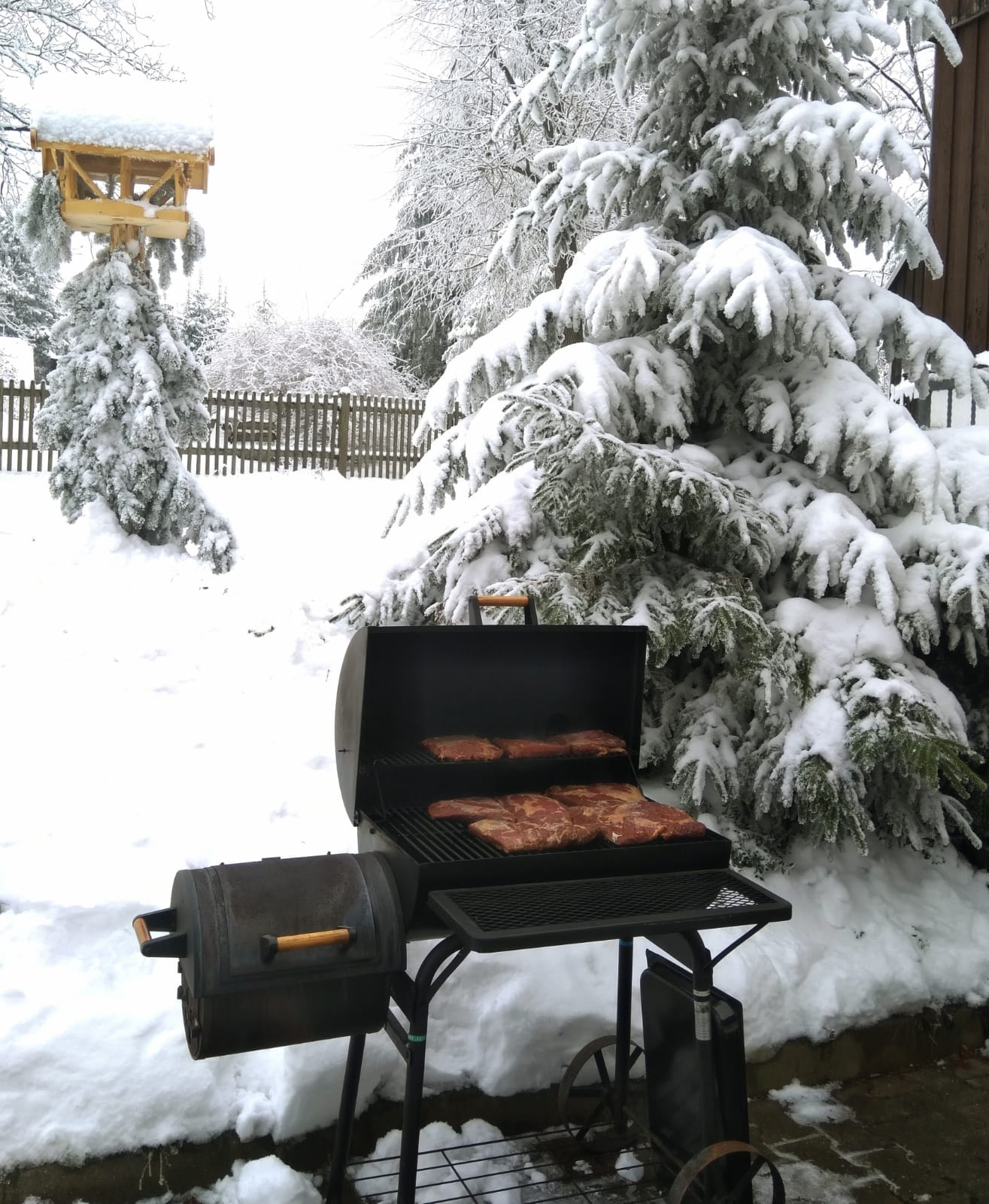 Grillen im Schnee