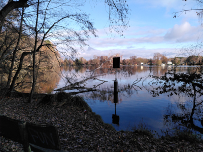 Schmöckwitzer Werder - Am Krossinsee